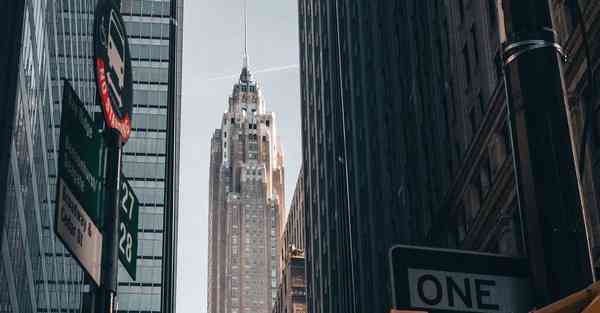 智能机器人金豆