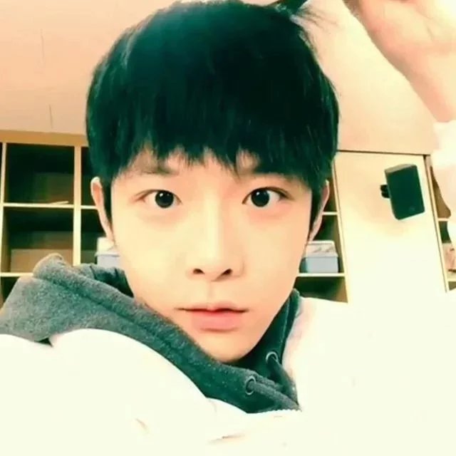 季珍星博
