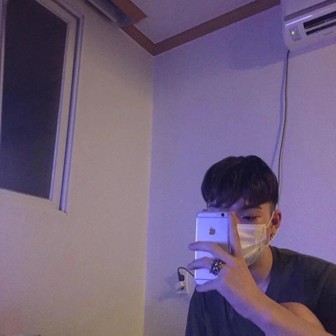 李朋茜霄