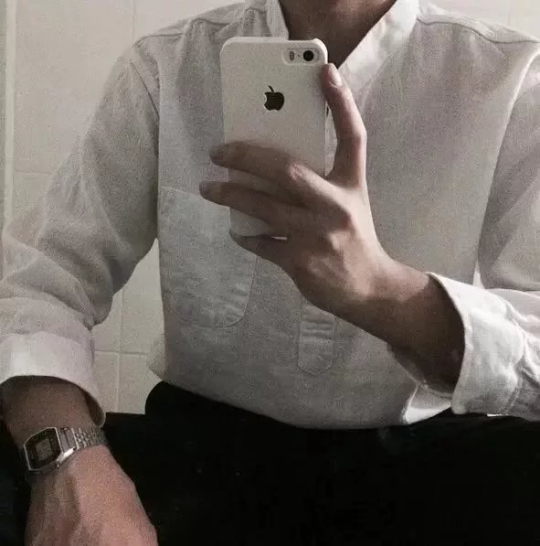 晏素顺磊
