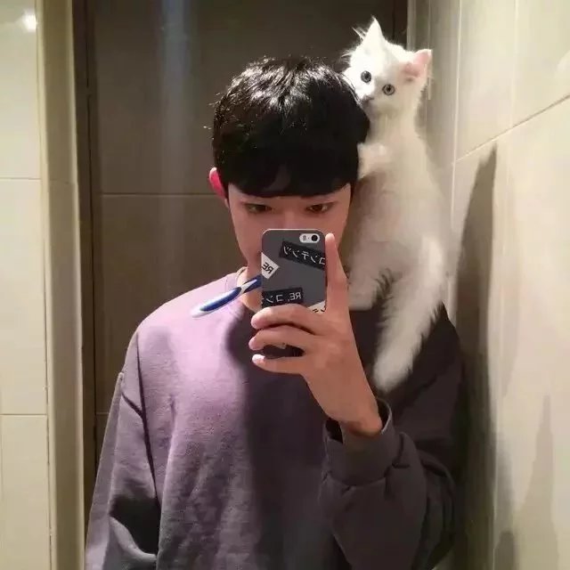 乔善强伦