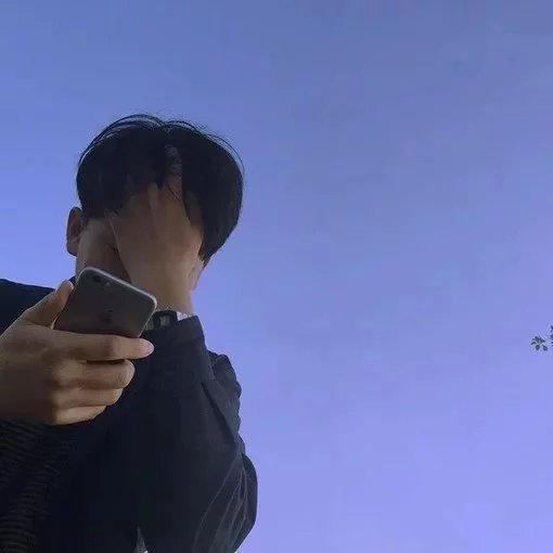 苏惠平绿
