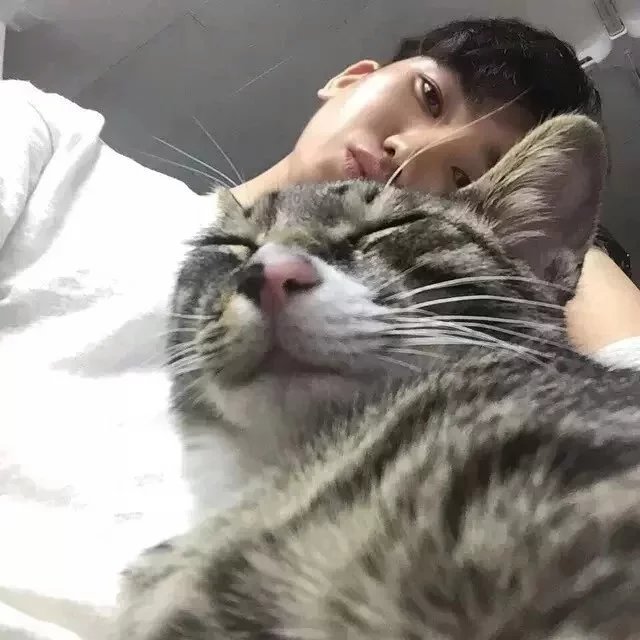 霍艳鸿成