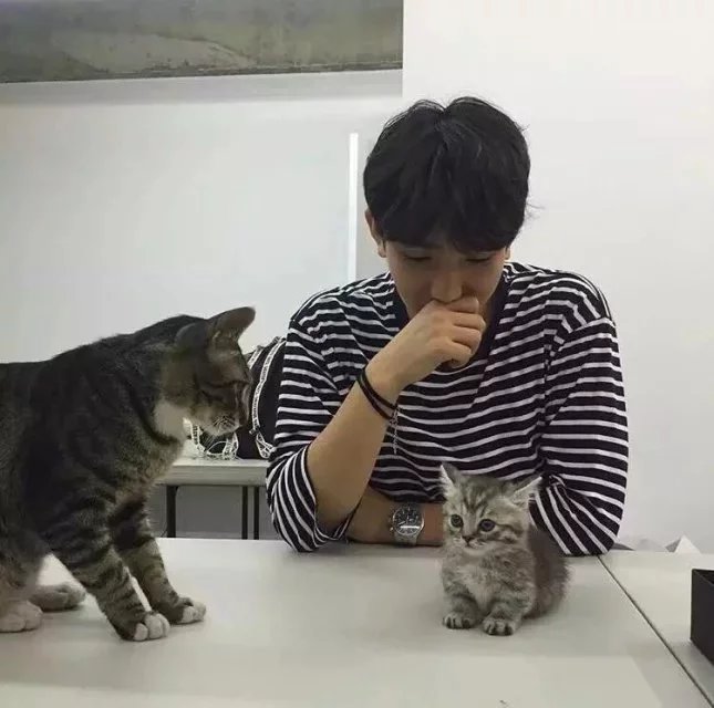 钱刚贤行