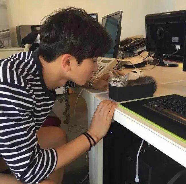 柯悦苑琴